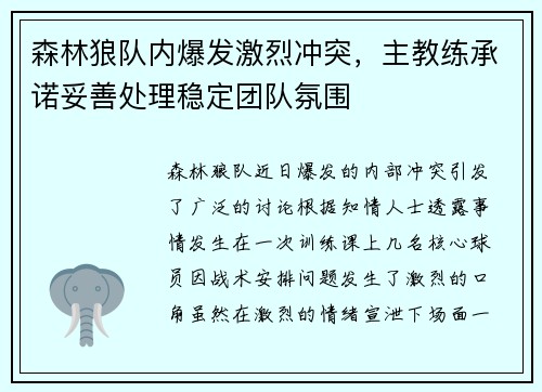 森林狼队内爆发激烈冲突，主教练承诺妥善处理稳定团队氛围